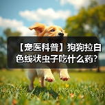 【宠医科普】狗狗拉白色线状虫子吃什么药?(图4) 【宠医科普】狗狗拉白色线状虫子吃什么药?(图4)