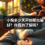 小狗多少天开始驱虫最好?你真的了解吗?(图1) 小狗多少天开始驱虫最好?你真的了解吗?(图1)