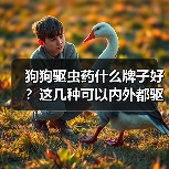 狗狗驱虫药什么牌子好?这几种可以内外都驱!(图4) 狗狗驱虫药什么牌子好?这几种可以内外都驱!(图4)