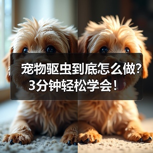 宠物驱虫到底怎么做?3分钟轻松学会!(图4) 宠物驱虫到底怎么做?3分钟轻松学会!(图4)