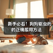 新手必看！狗狗驱虫药的正确服用方法（图2）