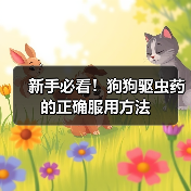 新手必看！狗狗驱虫药的正确服用方法（图1）