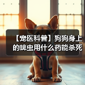 【宠医科普】狗狗身上的蜱虫用什么药能杀死？（图3）