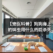 【宠医科普】狗狗身上的蜱虫用什么药能杀死？（图4）