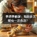 手把手教学：狗狗多久驱虫一次合适？（图1）