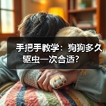 手把手教学：狗狗多久驱虫一次合适？（图2）