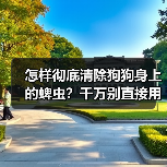 怎样彻底清除狗狗身上的蜱虫？千万别直接用手扯！（图2）