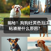 揭秘！狗狗吐黄色泡沫粘液是什么原因？（图4）