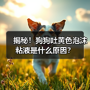揭秘！狗狗吐黄色泡沫粘液是什么原因？（图1）