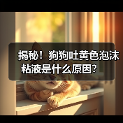 揭秘！狗狗吐黄色泡沫粘液是什么原因？（图2）
