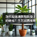 怎样彻底清除狗狗身上的蜱虫？千万别直接用手扯！（图3）