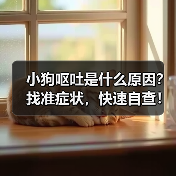 小狗呕吐是什么原因?找准症状,快速自查!(图4) 小狗呕吐是什么原因?找准症状,快速自查!(图4)