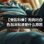 【宠医科普】狗狗吐白色泡沫粘液是什么原因？（图4）