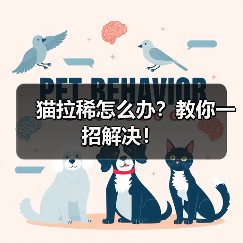 猫拉稀怎么办？教你一招解决！（图1）