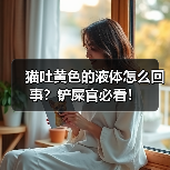 猫吐黄色的液体怎么回事？铲屎官必看！（图3）