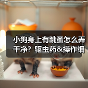 小狗身上有跳蚤怎么弄干净?驱虫药&操作细节来啦!(图3) 小狗身上有跳蚤怎么弄干净?驱虫药&操作细节来啦!(图3)