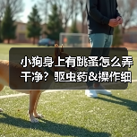 小狗身上有跳蚤怎么弄干净?驱虫药&操作细节来啦!(图4) 小狗身上有跳蚤怎么弄干净?驱虫药&操作细节来啦!(图4)