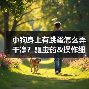 小狗身上有跳蚤怎么弄干净?驱虫药&操作细节来啦!(图1) 小狗身上有跳蚤怎么弄干净?驱虫药&操作细节来啦!(图1)