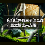 狗狗拉屎有虫子怎么办?氧宠博士来支招!(图4) 狗狗拉屎有虫子怎么办?氧宠博士来支招!(图4)
