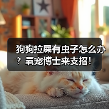 狗狗拉屎有虫子怎么办?氧宠博士来支招!(图2) 狗狗拉屎有虫子怎么办?氧宠博士来支招!(图2)