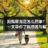 狗狗尿血是怎么回事?一文带你了解原因与解决办法(图2) 狗狗尿血是怎么回事?一文带你了解原因与解决办法(图2)