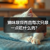 猫咪尿频而且每次只尿一点吃什么药？（图1）