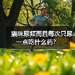 猫咪尿频而且每次只尿一点吃什么药？（图3）