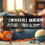 【宠医科普】猫尿频每次只尿一滴怎么治疗?(图1) 【宠医科普】猫尿频每次只尿一滴怎么治疗?(图1)