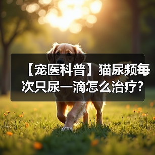 【宠医科普】猫尿频每次只尿一滴怎么治疗?(图3) 【宠医科普】猫尿频每次只尿一滴怎么治疗?(图3)