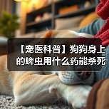 【宠医科普】狗狗身上的蜱虫用什么药能杀死？（图1）