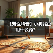【宠医科普】小狗驱虫用什么药？（图2）