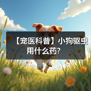 【宠医科普】小狗驱虫用什么药？