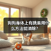 狗狗身体上有跳蚤用什么方法能清除？（图4）