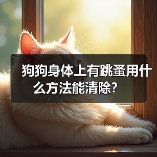 狗狗身体上有跳蚤用什么方法能清除？（图3）