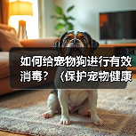 如何给宠物狗进行有效消毒?(保护宠物健康,从正确消毒开始)(图3) 如何给宠物狗进行有效消毒?(保护宠物健康,从正确消毒开始)(图3)