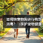 如何给宠物狗进行有效消毒？（保护宠物健康，从正确消毒开始）