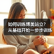 如何训练博美站立?(从基础开始一步步训练,让你的狗狗优雅地站立)(图4) 如何训练博美站立?(从基础开始一步步训练,让你的狗狗优雅地站立)(图4)