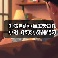 刚满月的小猫每天睡几小时（探究小猫睡眠习惯及其对健康的影响）