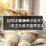 如何正确喂养沙皮犬?(关注沙皮犬营养需求,让它健康快乐成长)(图2) 如何正确喂养沙皮犬?(关注沙皮犬营养需求,让它健康快乐成长)(图2)