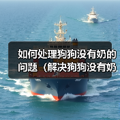如何处理狗狗没有奶的问题(解决狗狗没有奶的情况,让它健康成长)(图4) 如何处理狗狗没有奶的问题(解决狗狗没有奶的情况,让它健康成长)(图4)