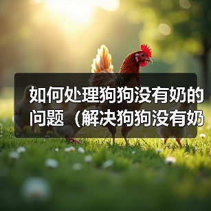 如何处理狗狗没有奶的问题(解决狗狗没有奶的情况,让它健康成长)(图3) 如何处理狗狗没有奶的问题(解决狗狗没有奶的情况,让它健康成长)(图3)