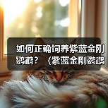 如何正确饲养紫蓝金刚鹦鹉?(紫蓝金刚鹦鹉的饲养方法与注意事项)(图2) 如何正确饲养紫蓝金刚鹦鹉?(紫蓝金刚鹦鹉的饲养方法与注意事项)(图2)