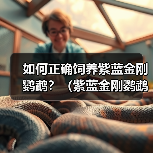 如何正确饲养紫蓝金刚鹦鹉？（紫蓝金刚鹦鹉的饲养方法与注意事项）