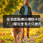 金毛吃狗粮长得快不快？（探究金毛犬只是否需特殊饮食及狗粮是否有助于其成长）