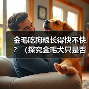 金毛吃狗粮长得快不快?(探究金毛犬只是否需特殊饮食及狗粮是否有助于其成长)(图4) 金毛吃狗粮长得快不快?(探究金毛犬只是否需特殊饮食及狗粮是否有助于其成长)(图4)