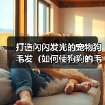打造闪闪发光的宠物狗毛发（如何使狗狗的毛发有光泽？）