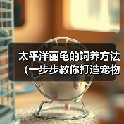 太平洋丽龟的饲养方法(一步步教你打造宠物丽龟之家)(图2) 太平洋丽龟的饲养方法(一步步教你打造宠物丽龟之家)(图2)