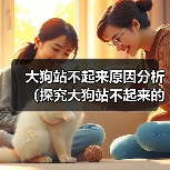 大狗站不起来原因分析（探究大狗站不起来的具体原因及解决方法）（图4）