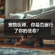 宠物医师，你是否履行了你的使命？（图2）