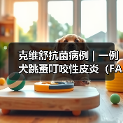克维舒抗菌病例 | 一例犬跳蚤叮咬性皮炎（FAD）的病例分析（图2）